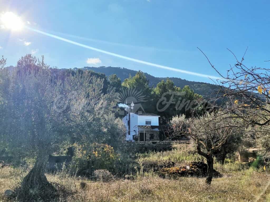 House in Biar, Comunidad Valenciana 11516909