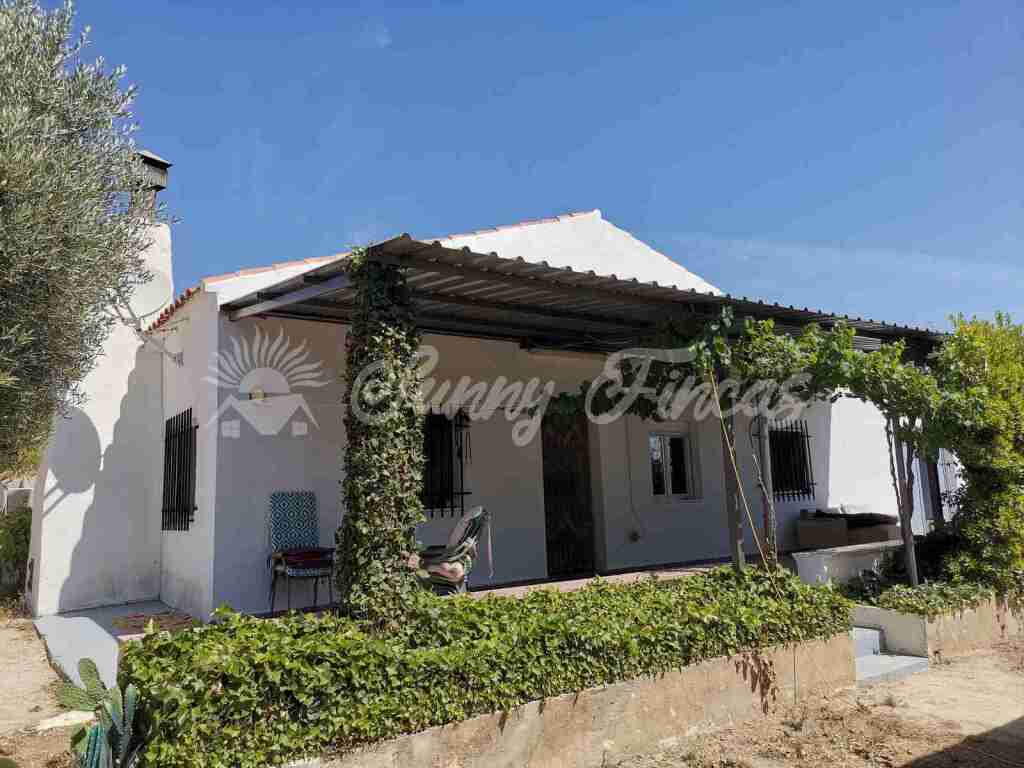 House in Yecla, Murcia 11516931