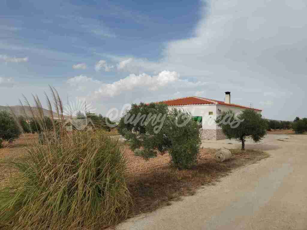 Haus im Yecla, Región de Murcia 11516941