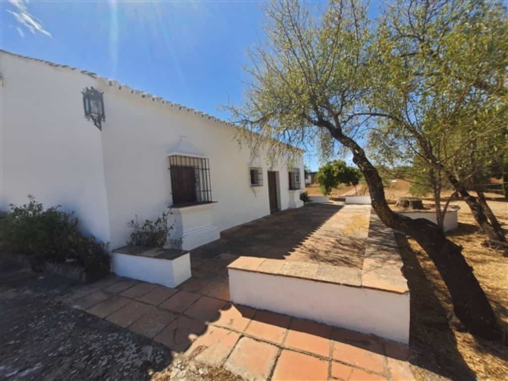 Hus i Arriate, Andalusia 11517050