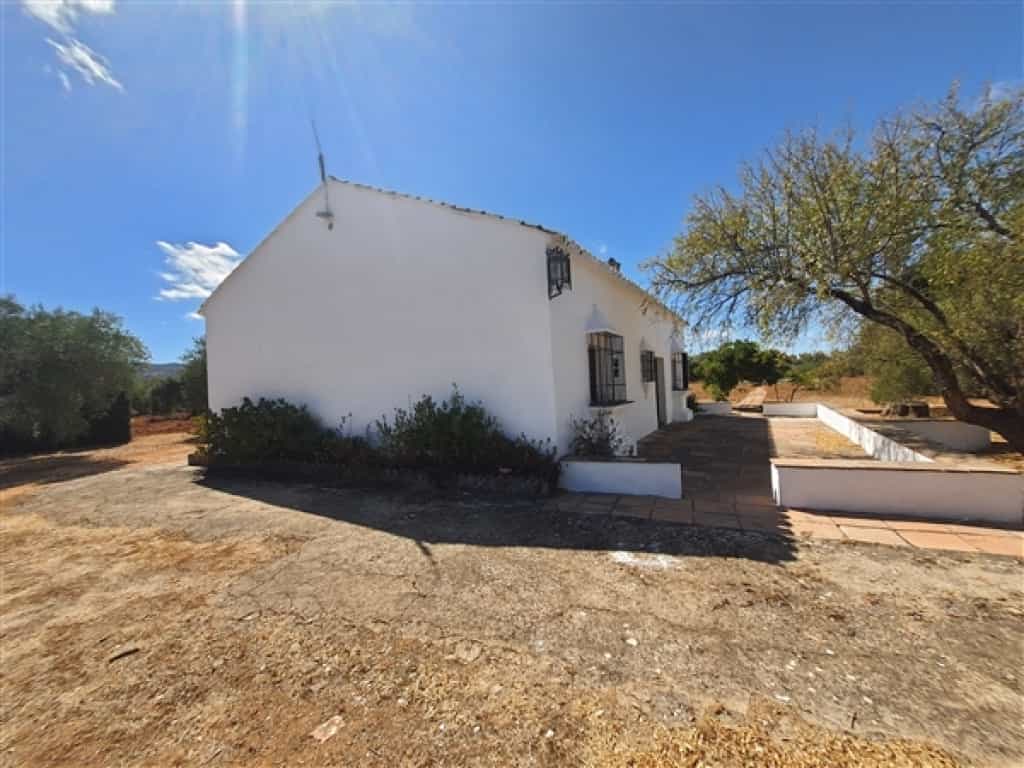 House in Arriate, Andalusia 11517050