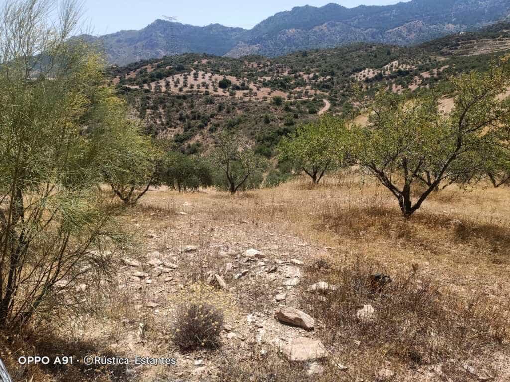 Land in Yunquera, Andalusia 11517055