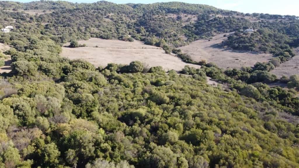 Land in Gaucin, Andalusië 11517064