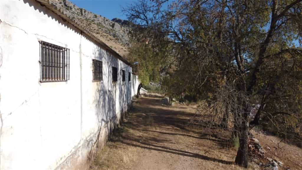 Talo sisään Benaoján, Andalucía 11517065