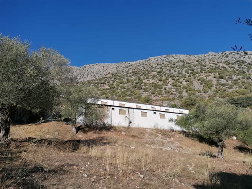 Hus i Benaoján, Andalucía 11517065