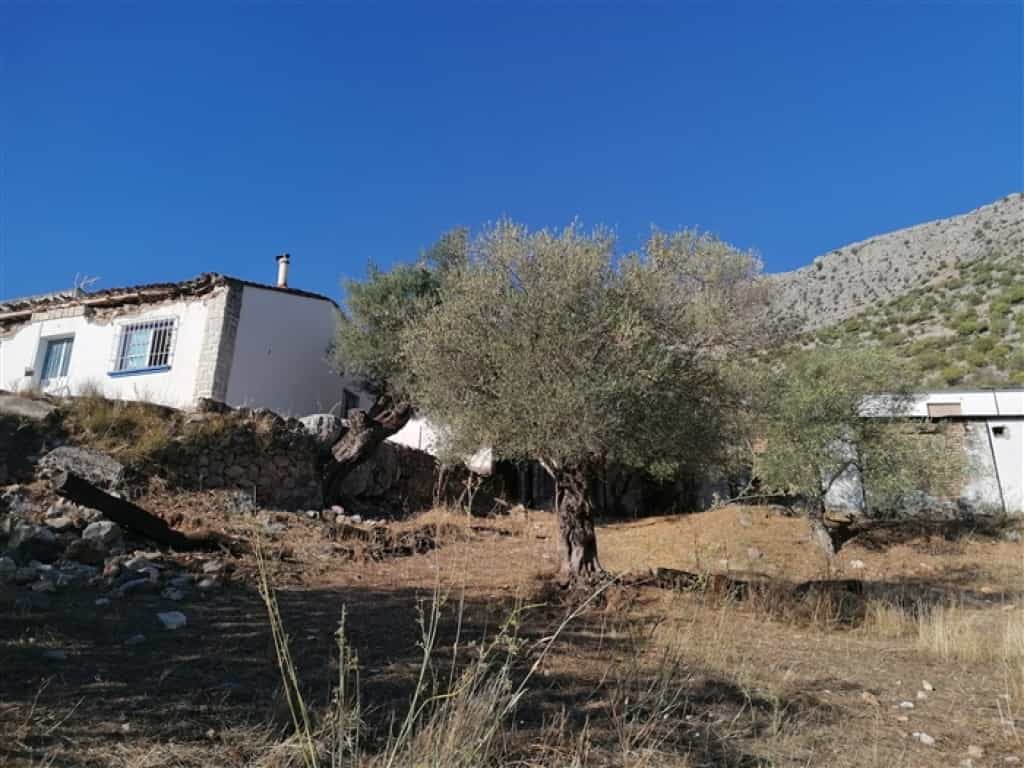 σπίτι σε Benaoján, Andalucía 11517065