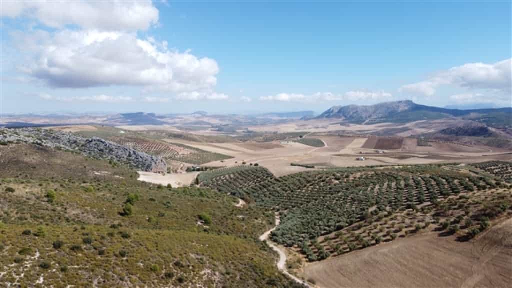 Land im Cuevas del Becerro, Andalucía 11517066