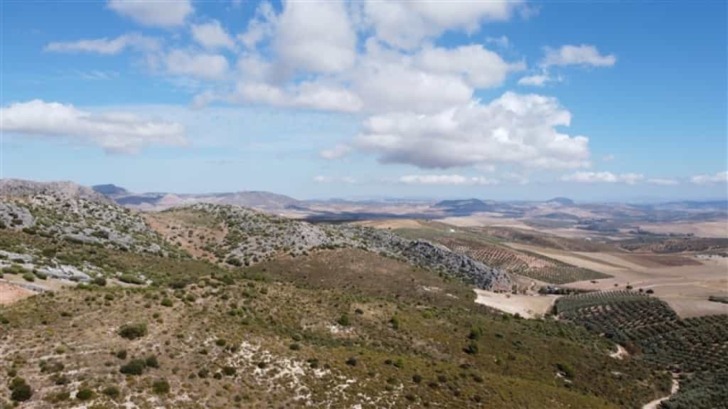 Land im Cuevas del Becerro, Andalusien 11517066