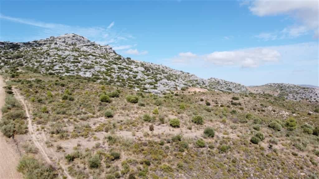Land in Cuevas del Becerro, Andalusia 11517066