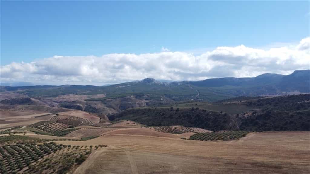 土地 在 Cuevas del Becerro, Andalucía 11517066