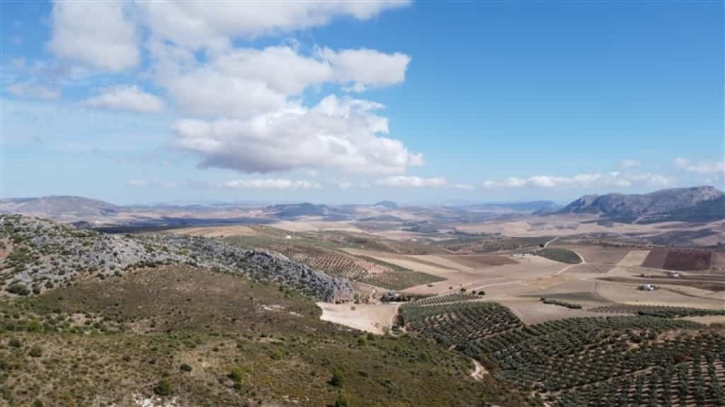 Land in Cuevas del Becerro, Andalucía 11517066