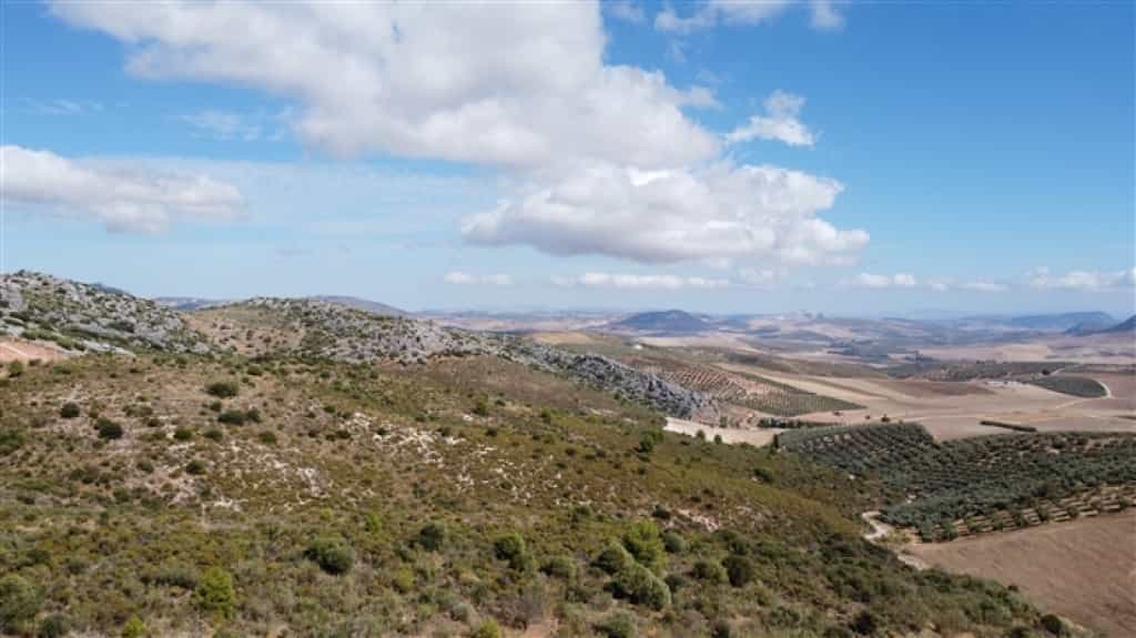 Land in Cuevas del Becerro, Andalusia 11517066