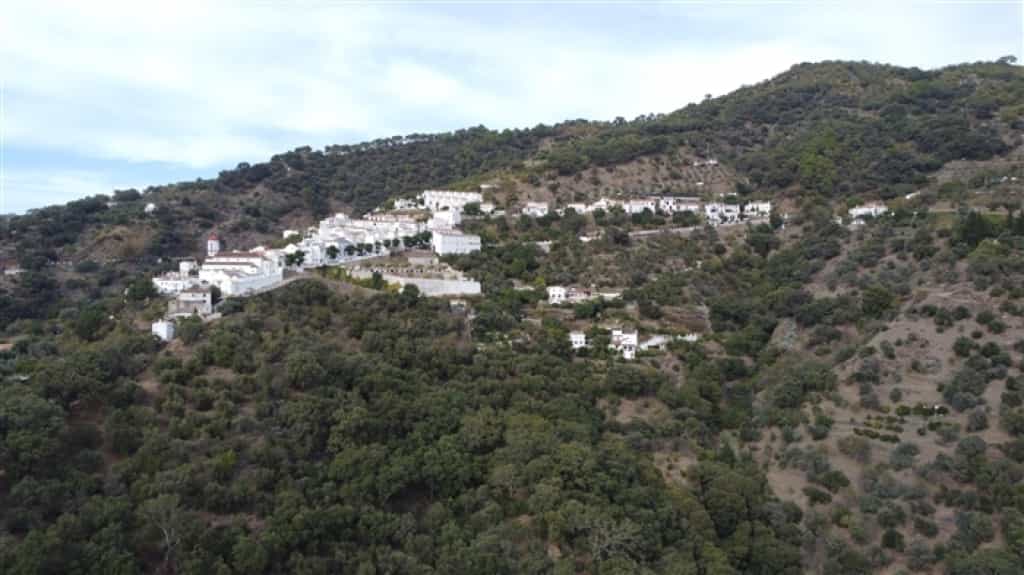 Tanah di Genalguacil, Andalucía 11517072
