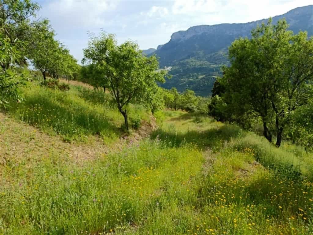 Land in Benalauria, Andalusia 11517073