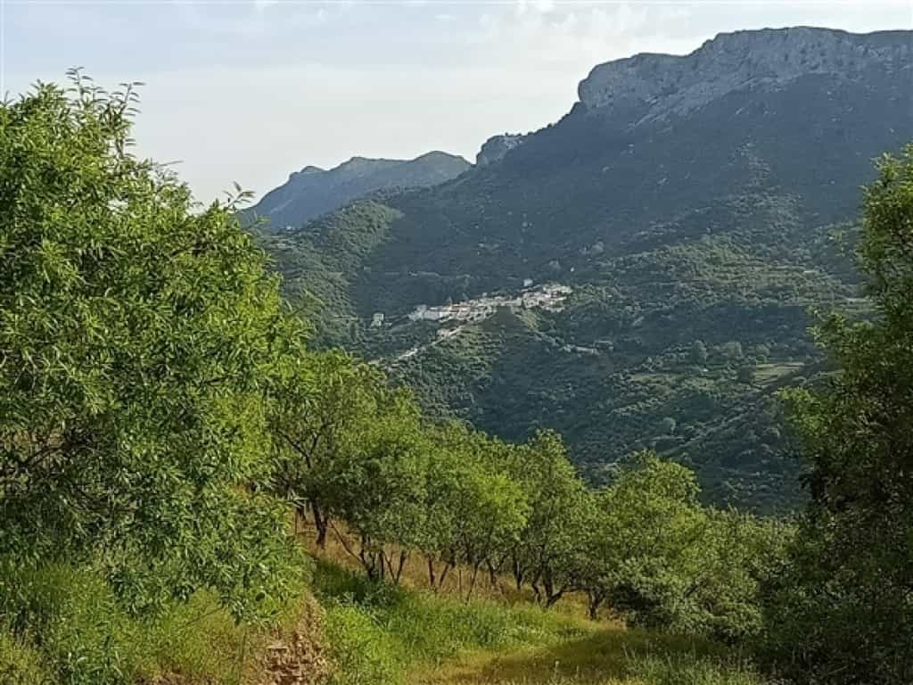 Land in Benalauria, Andalusia 11517073