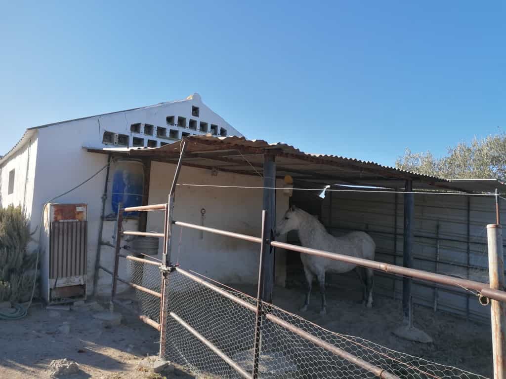 σπίτι σε Arcos de la Frontera, Ανδαλουσία 11517086