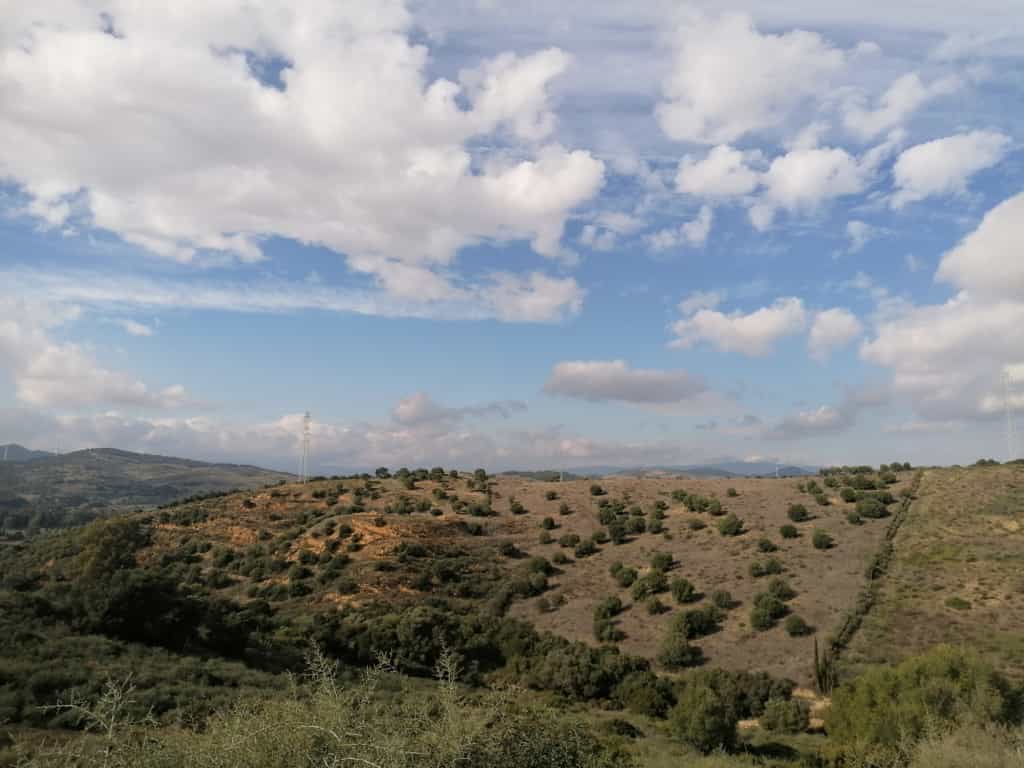 Terre dans Casarès, Andalousie 11517089