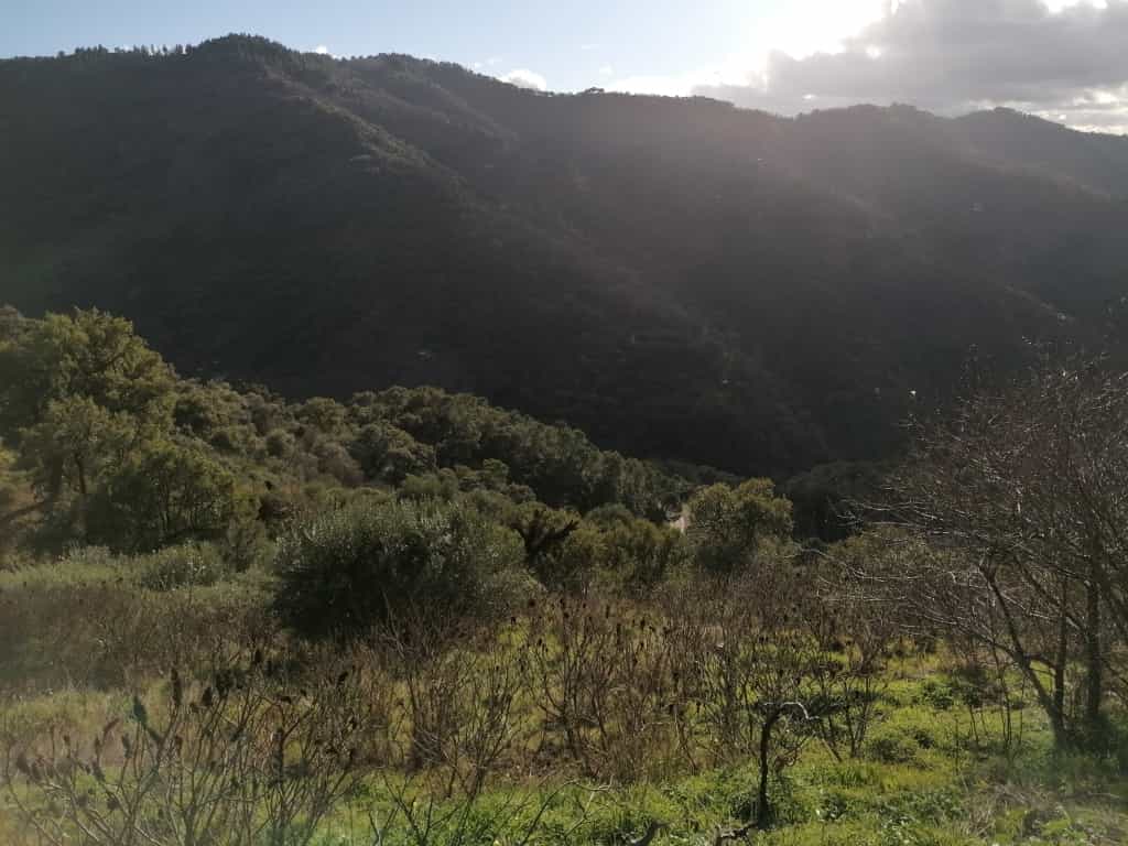 Land in Jubrique, Andalusië 11517093