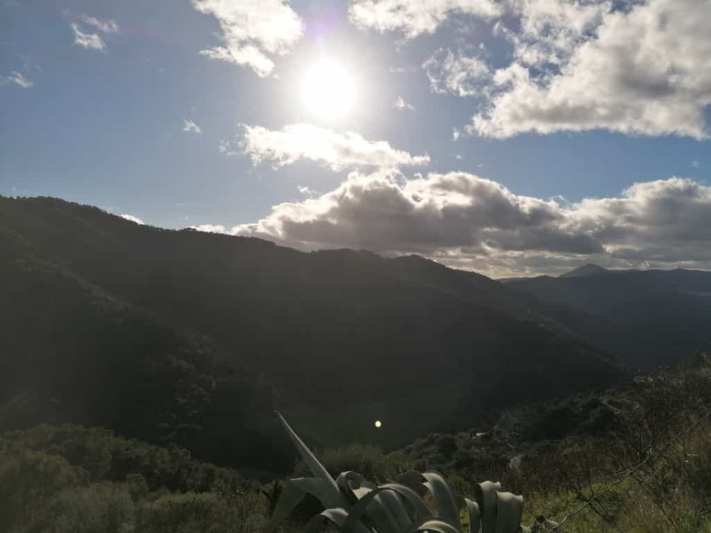 Land in Jubrique, Andalusia 11517093