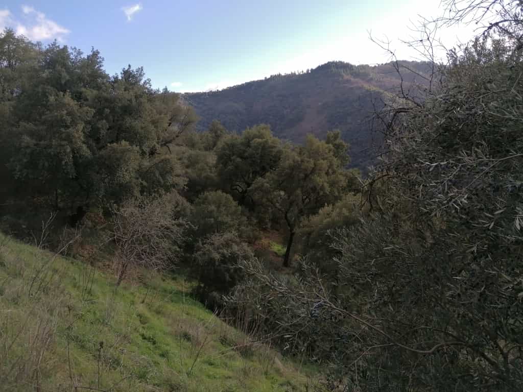 Land in Jubrique, Andalucía 11517093