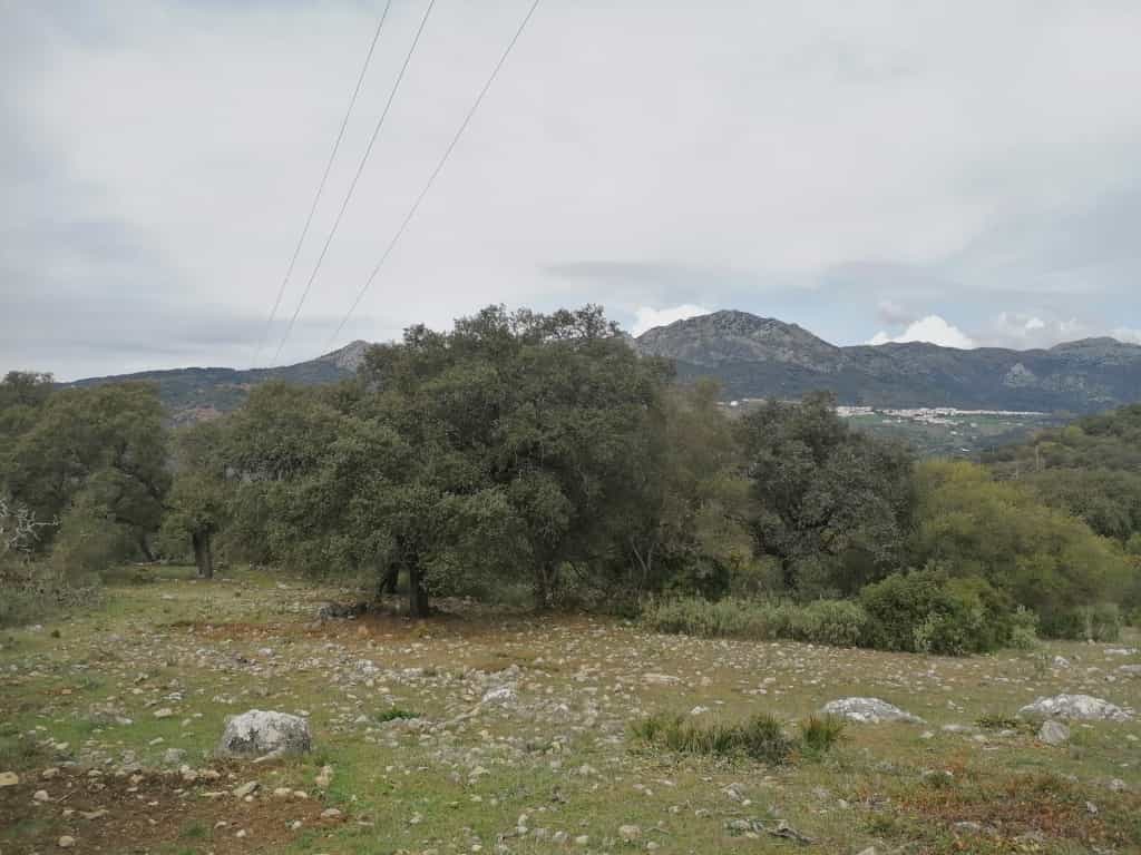 בַּיִת ב Cañada del Real Tesoro, Andalucía 11517103