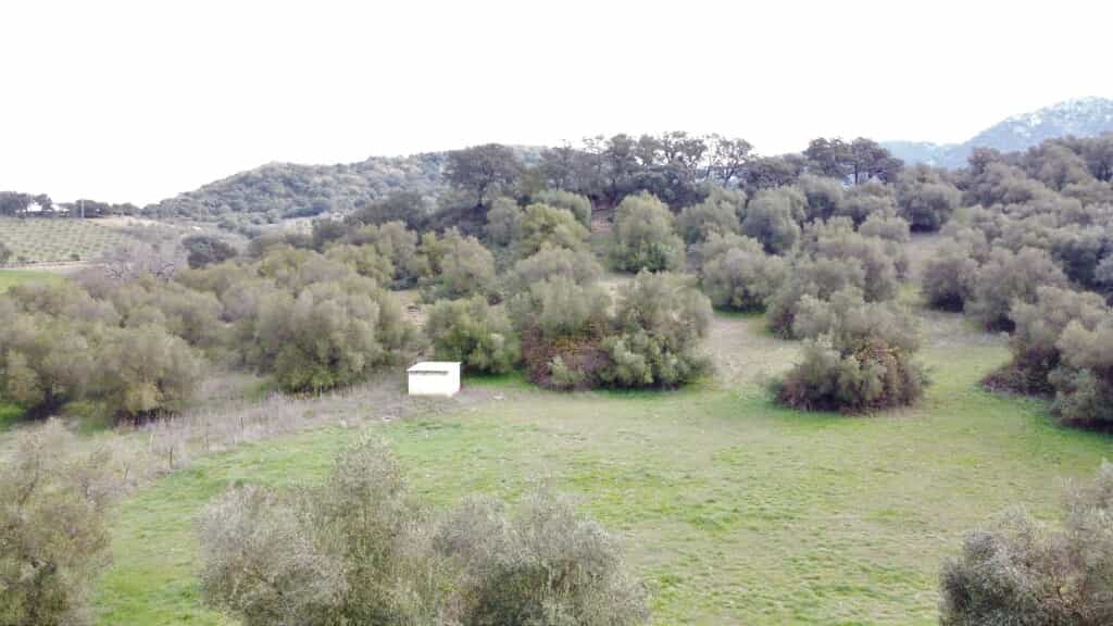 בַּיִת ב Cañada del Real Tesoro, Andalucía 11517103