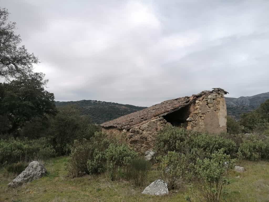 Dom w Cortes de la Frontera, Andaluzja 11517103