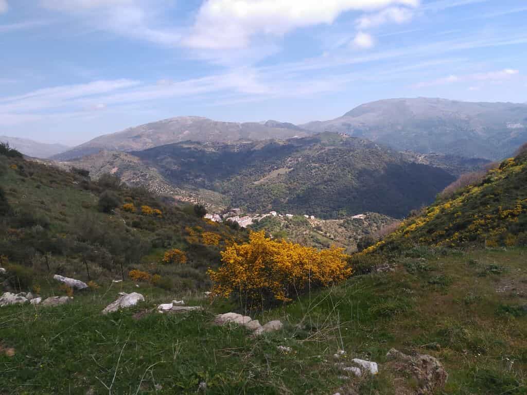 Land in Benalauria, Andalusia 11517111