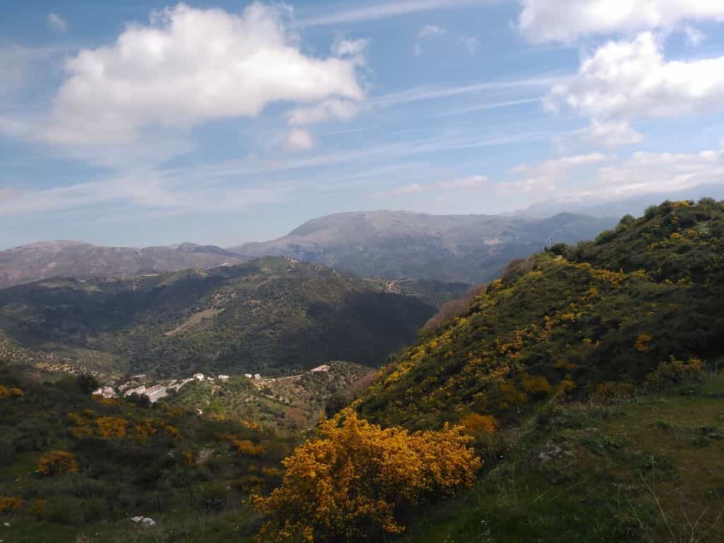 Land i Benalauría, Andalucía 11517111