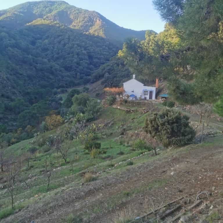 House in Istan, Andalusia 11517138