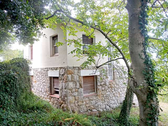 Hus i Cérdigo, Cantabria 11517209