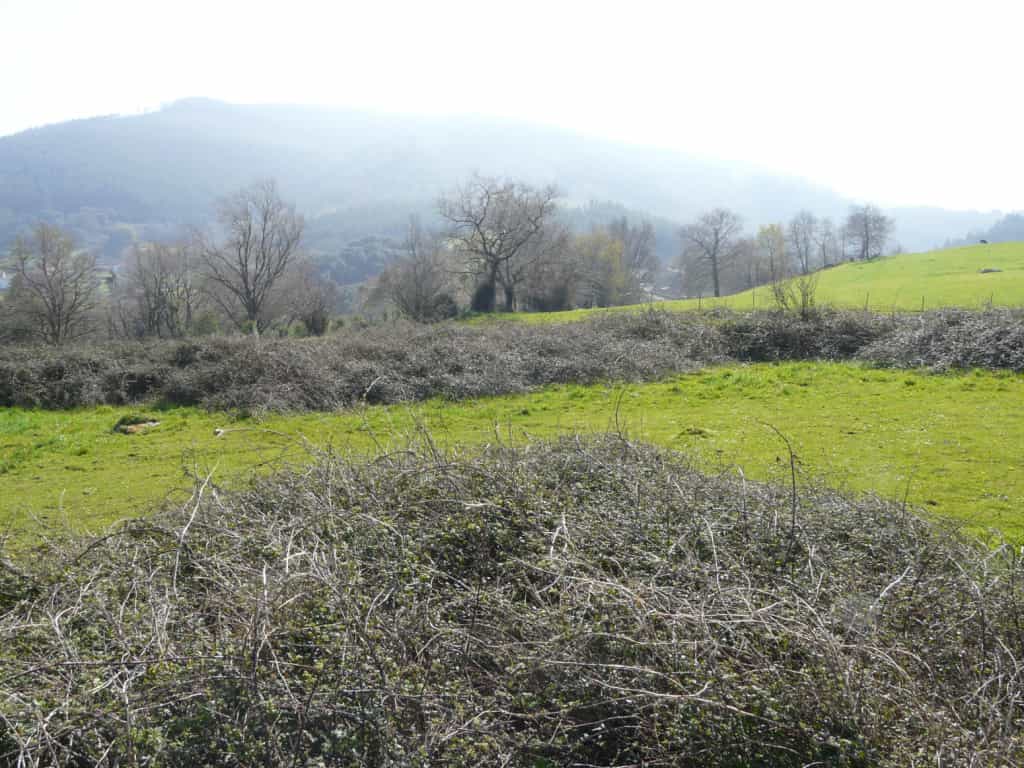 Land in , Cantabria 11517224