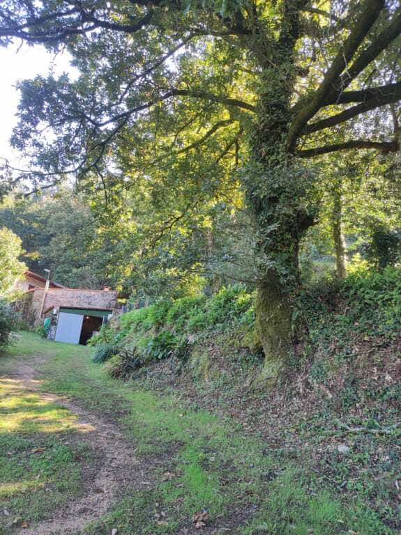بيت في , Galicia 11517267