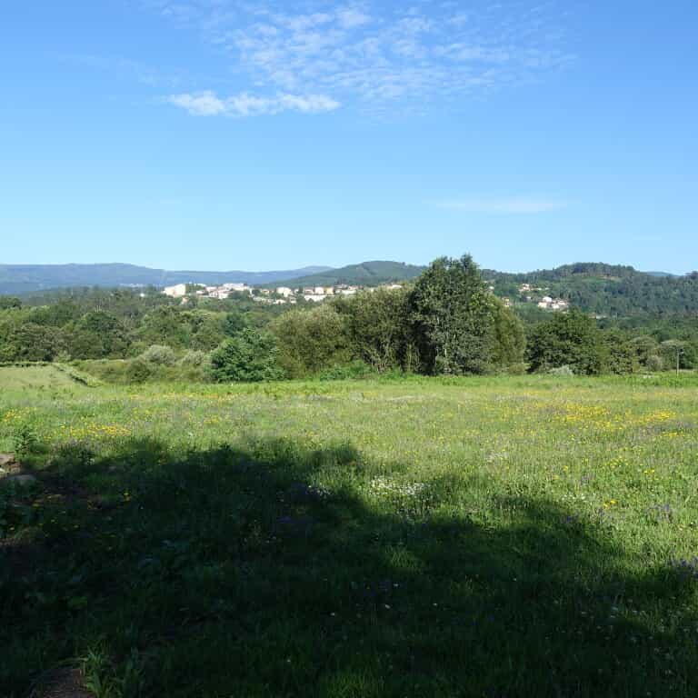 Land i Mondariz-Balneario, Galicia 11517291