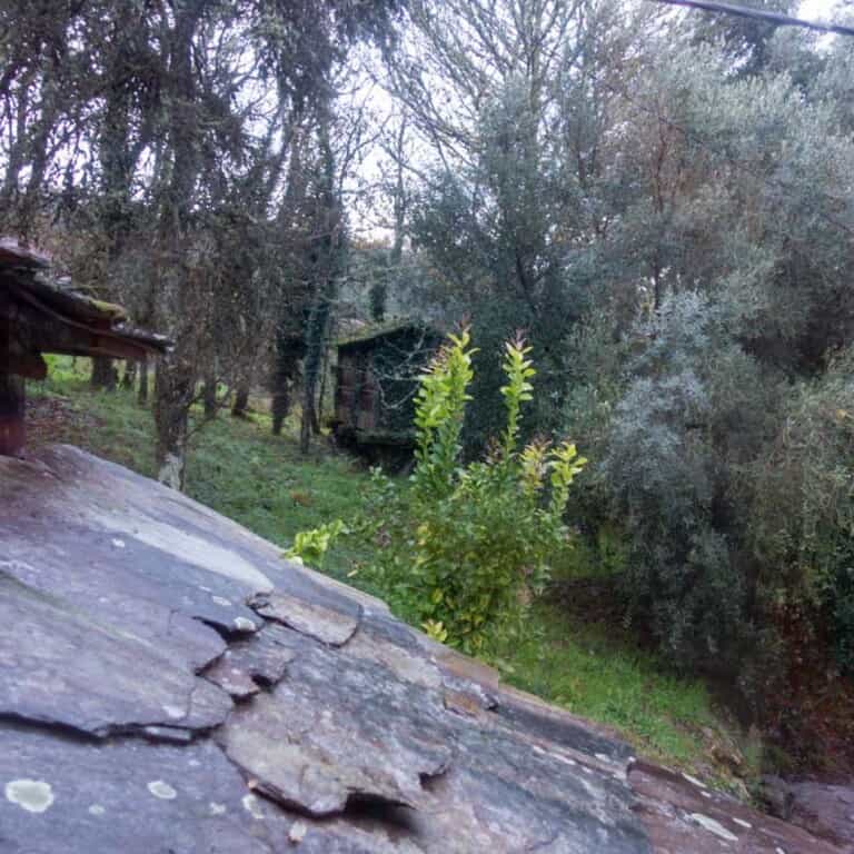 房子 在 Ourense, Galicia 11517315