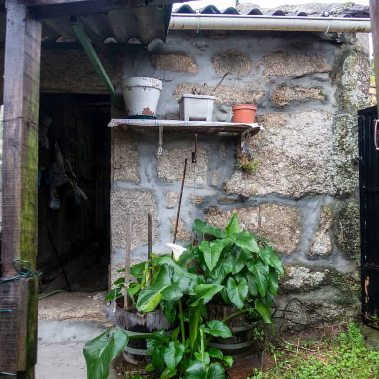 بيت في Mondariz, Galicia 11517316