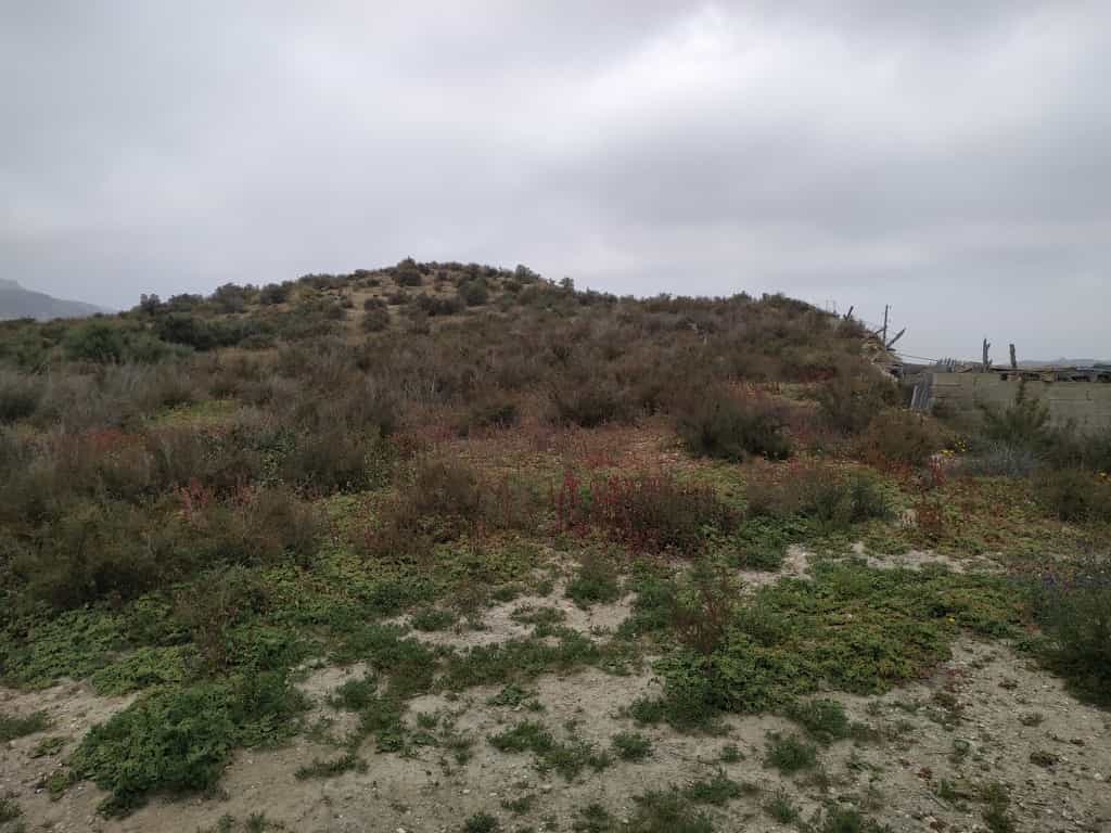 Land in Huércal de Almería, Andalucía 11518621