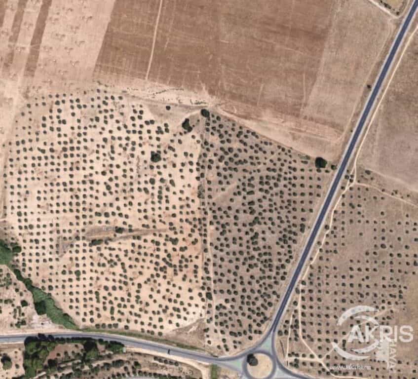 Land in San Bernardo, Castille-La Mancha 11518928
