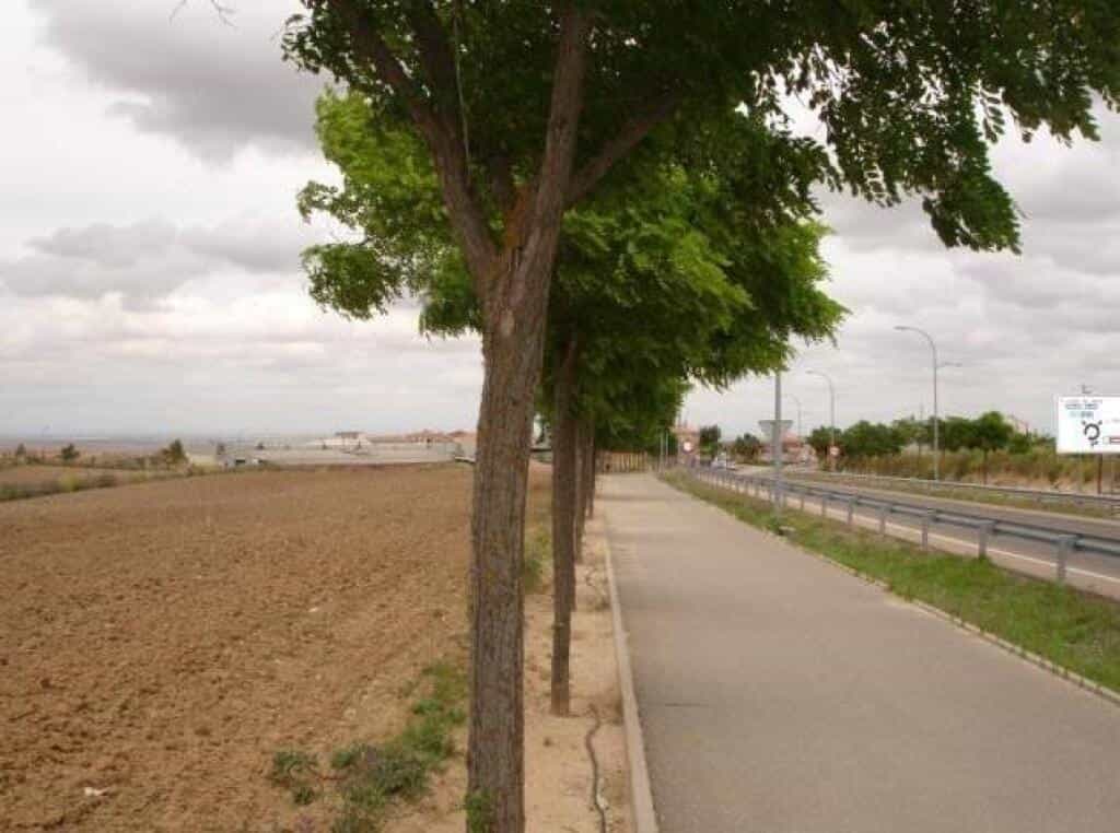 Tanah dalam Bargas, Castille-La Mancha 11519213