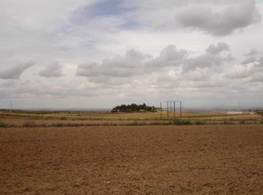 Земля в Bargas, Castilla-La Mancha 11519213