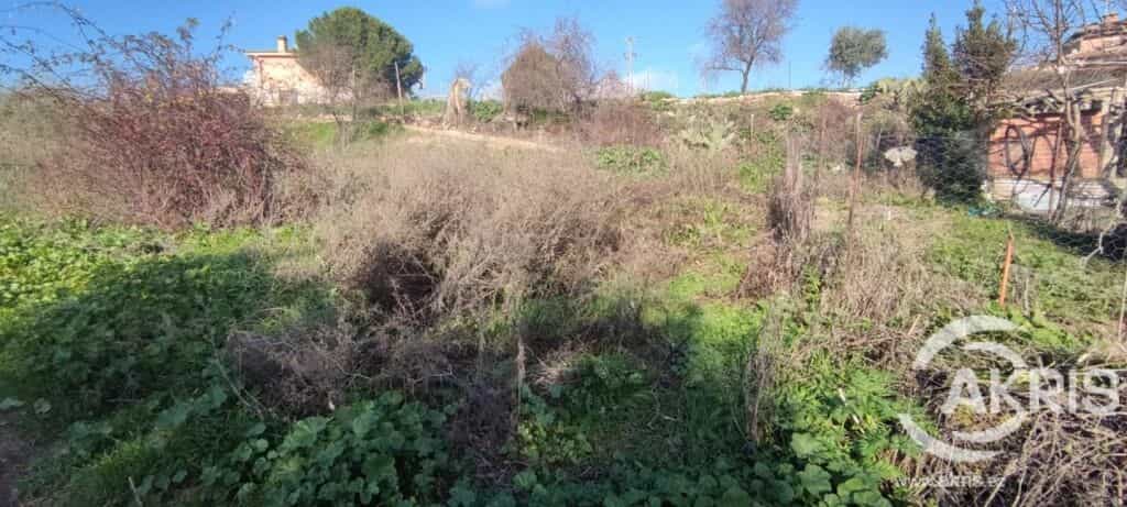 Tanah dalam Mentrida, Castille-La Mancha 11519441