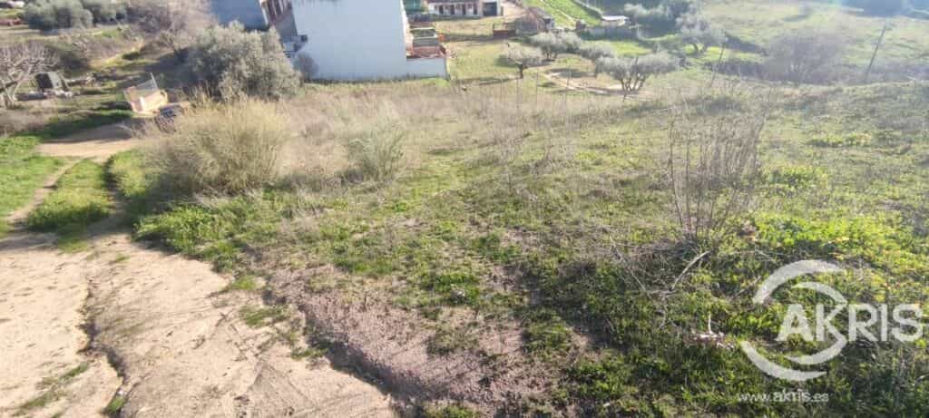 Land in Mentrida, Castille-La Mancha 11519441