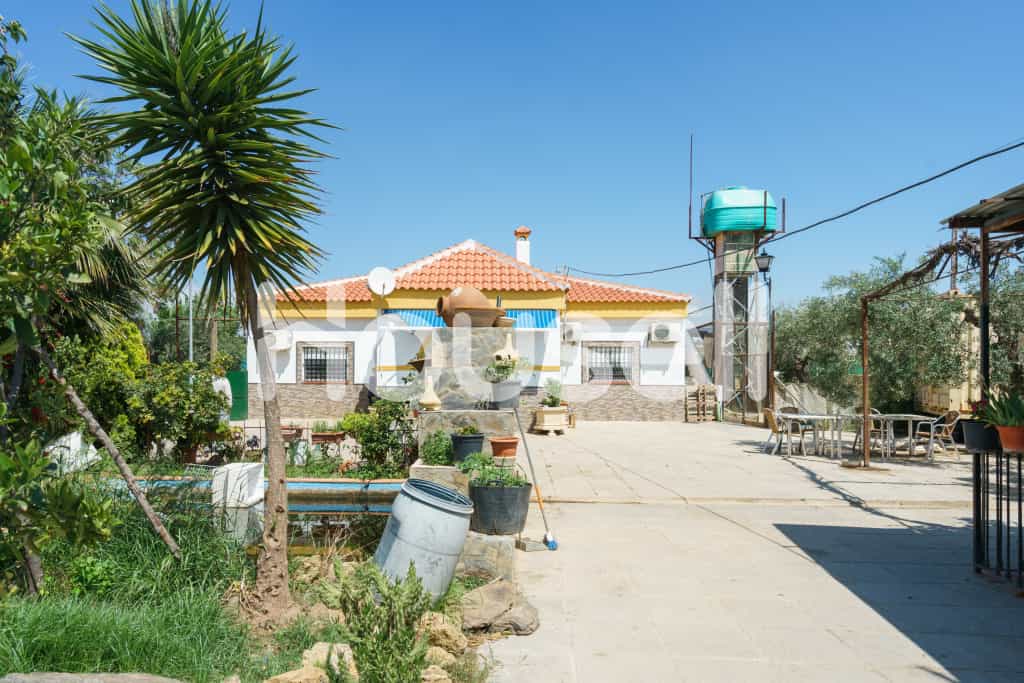 Dom w Utrera, Andalucía 11521469