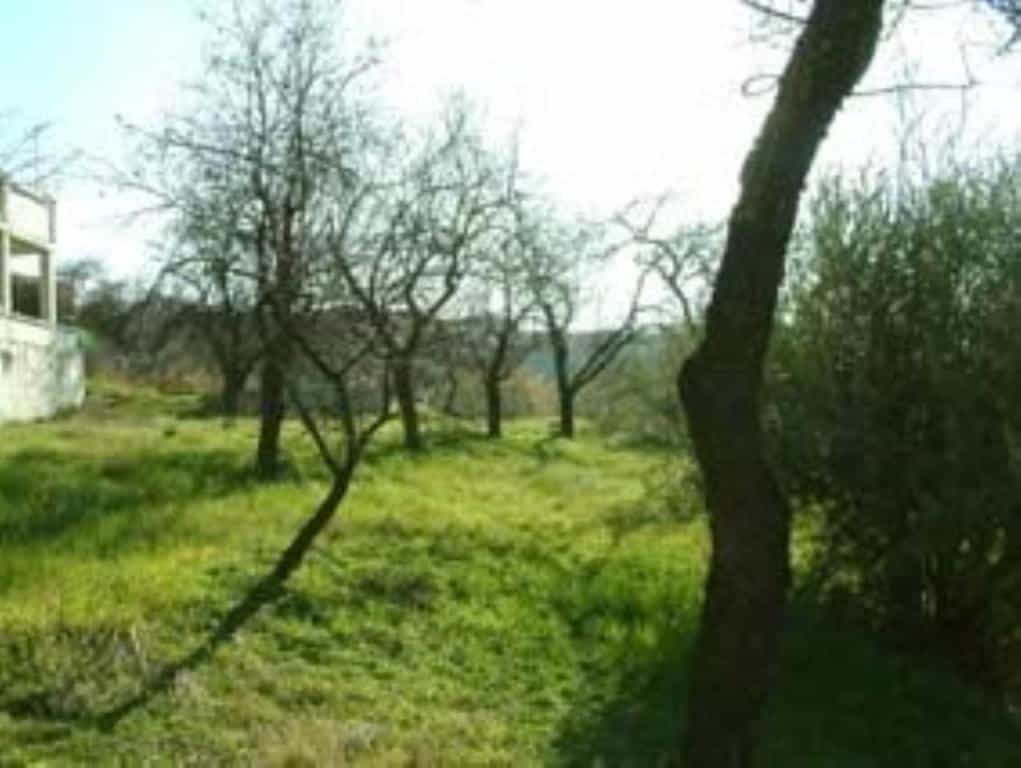 Land in Moclin, Andalusia 11523518