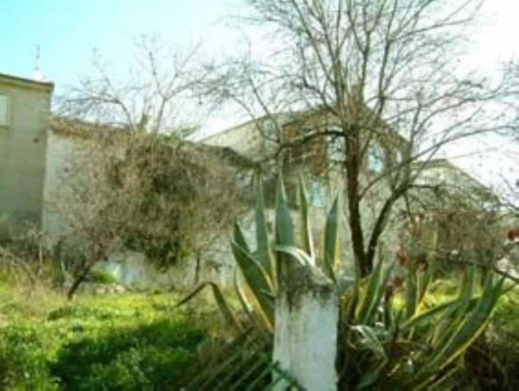 Land in Olivares, Andalucía 11523518