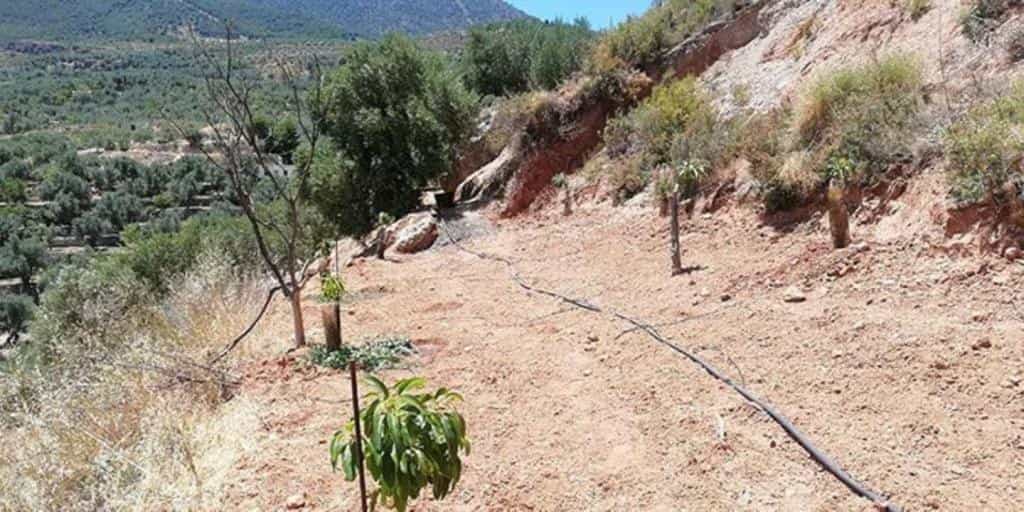 Land in Saleres, Andalusia 11523522