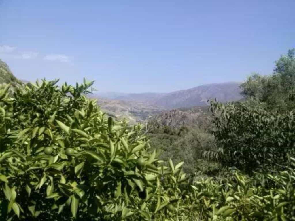 Land in Saleres, Andalusia 11523524