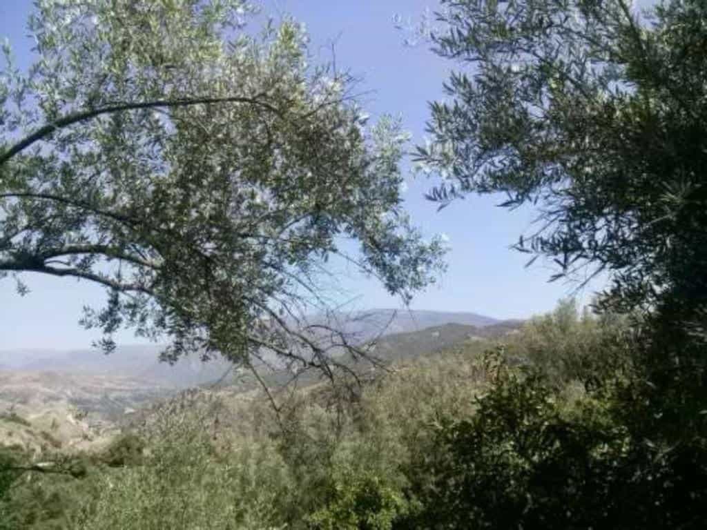 Land i Saleres, Andalusia 11523524