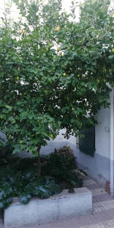 House in Durcal, Andalusia 11523525