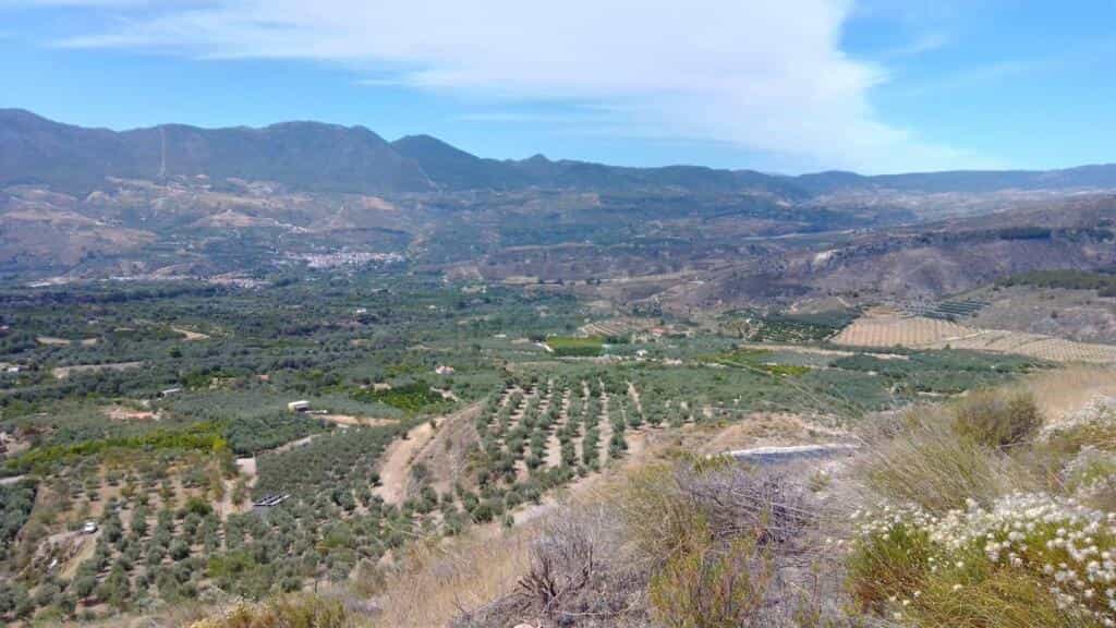 Tanah di Durcal, Andalusia 11523544